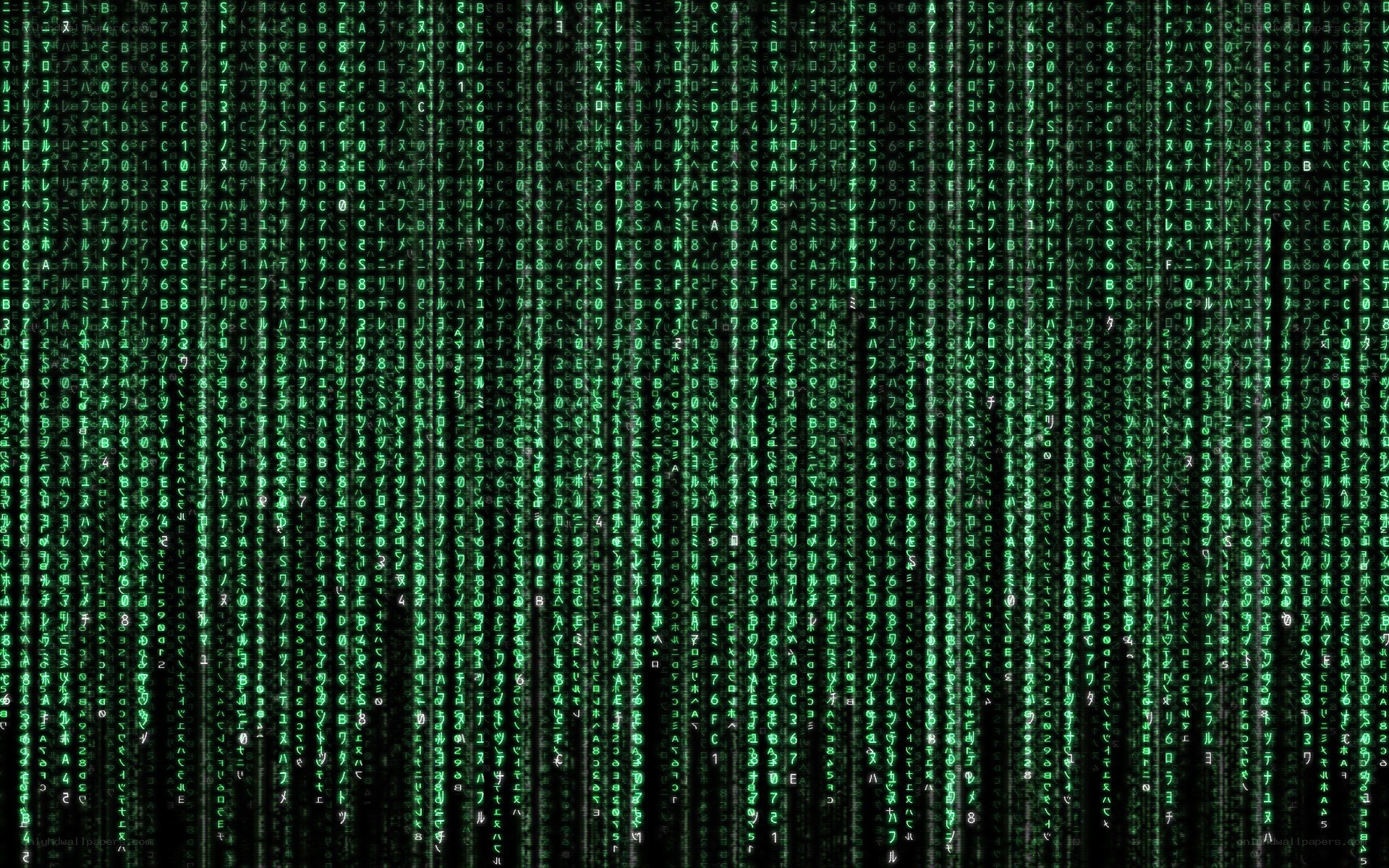 Matrix digital rain