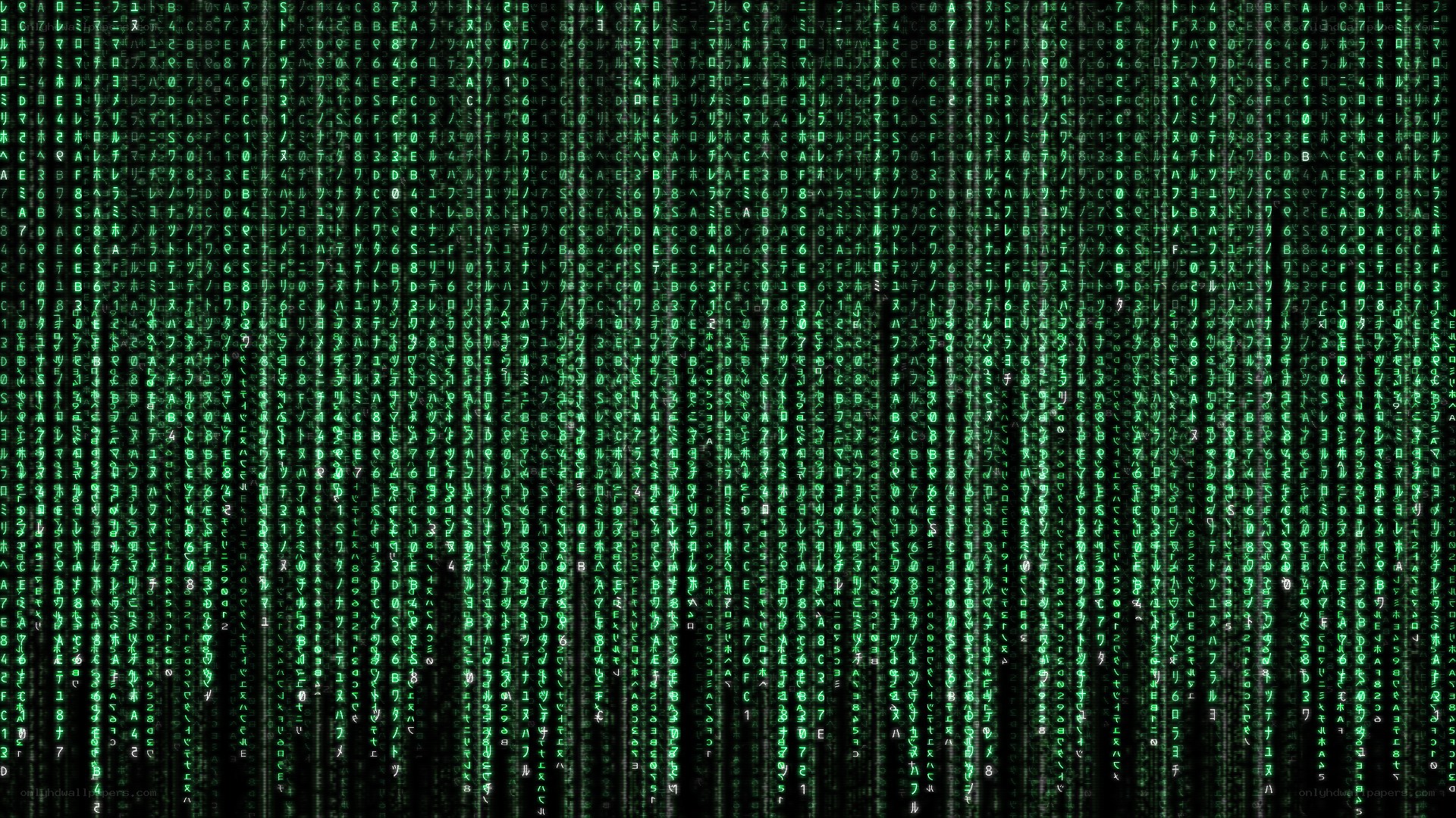 Matrix digital rain
