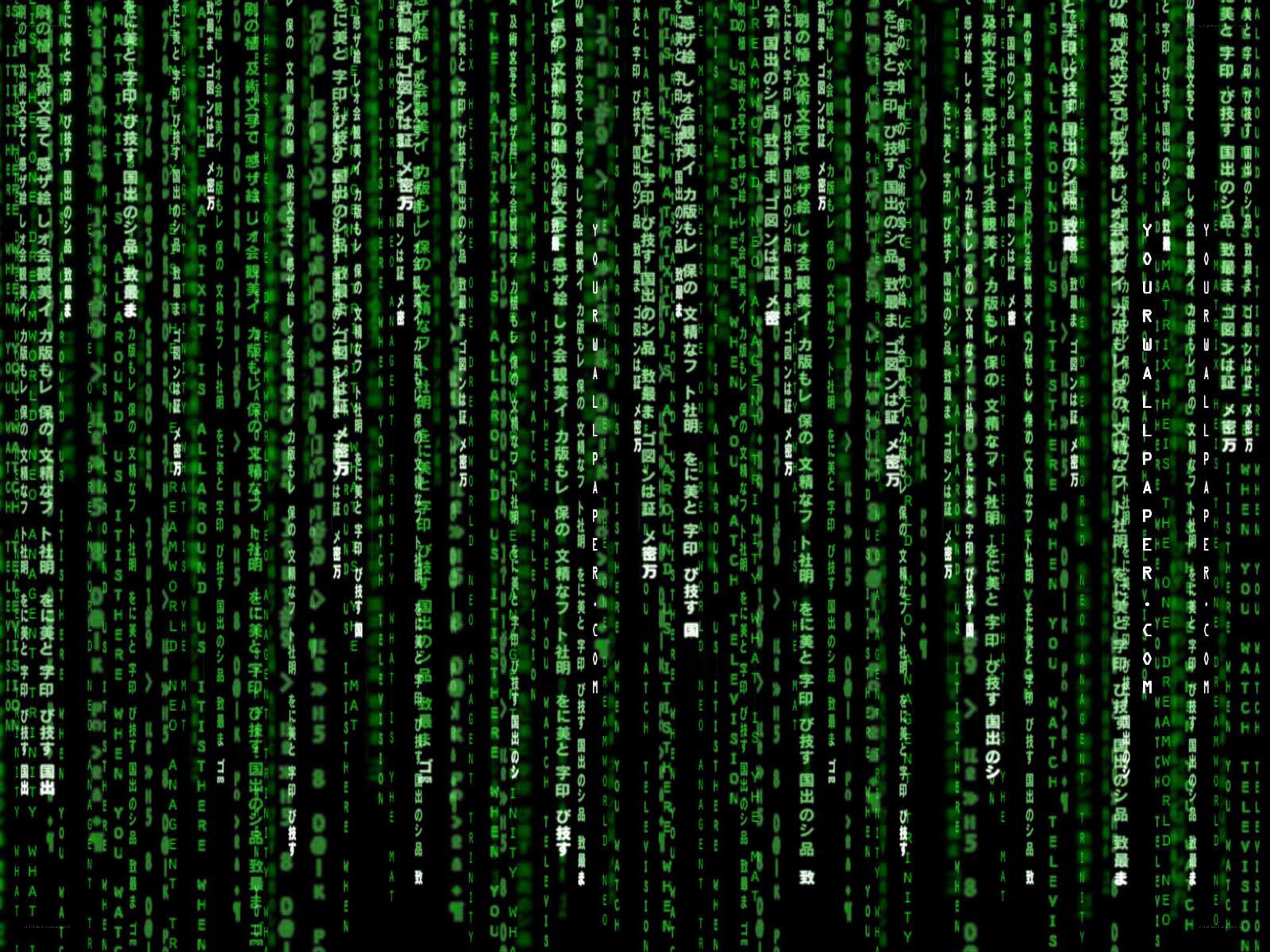 Matrix digital rain background