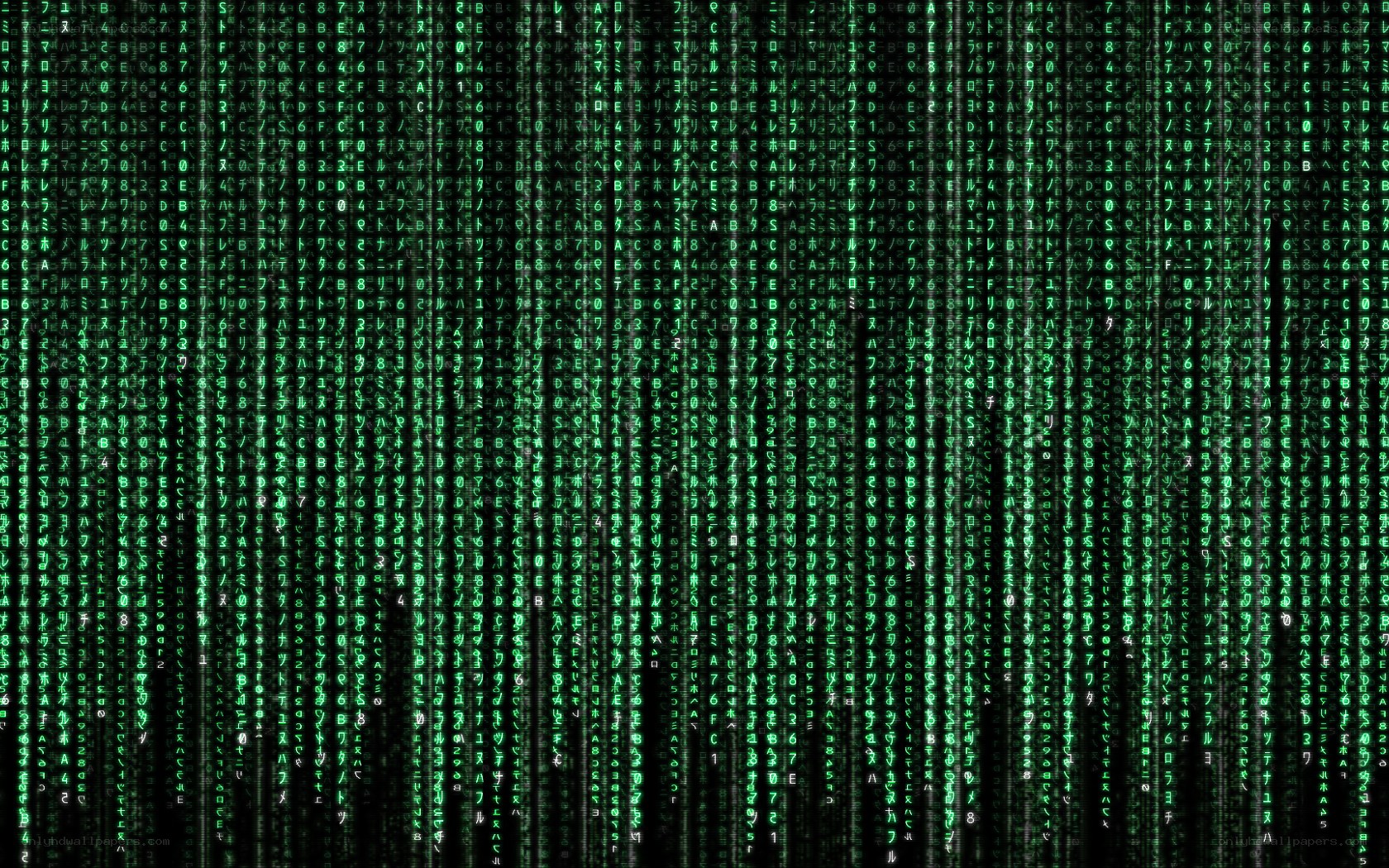 Matrix digital rain effect