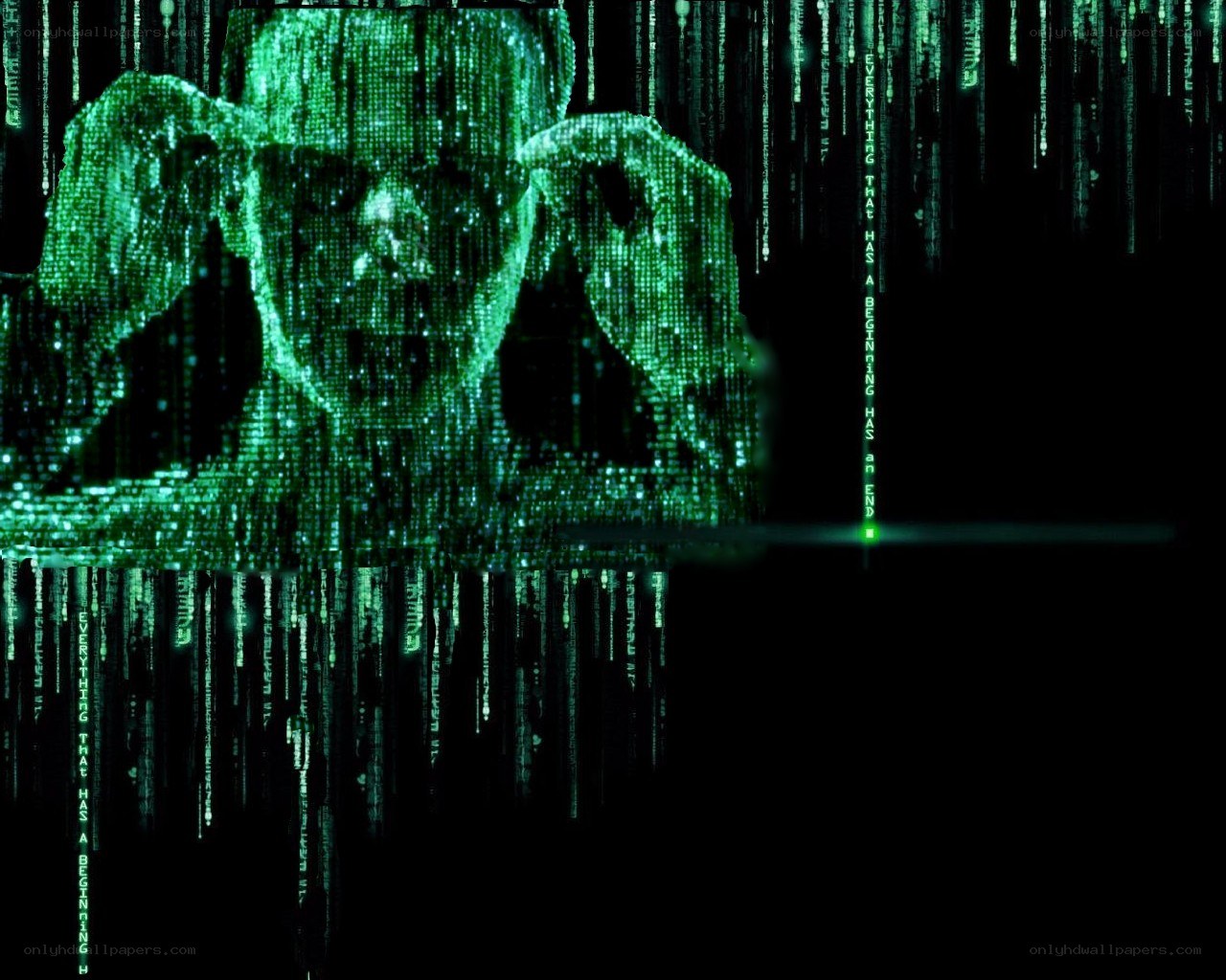 Matrix digital rain with face
