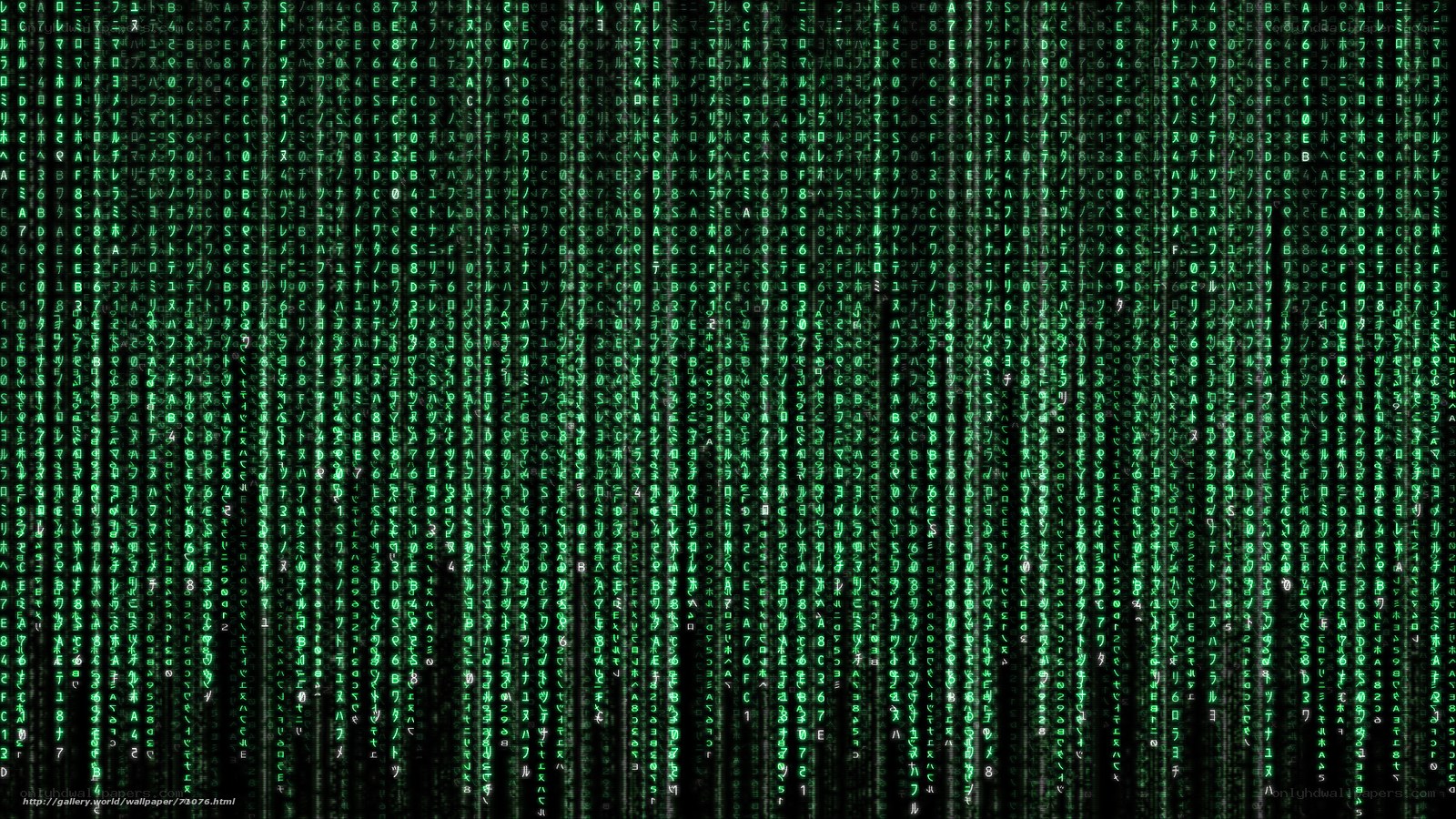 Matrix digital rain