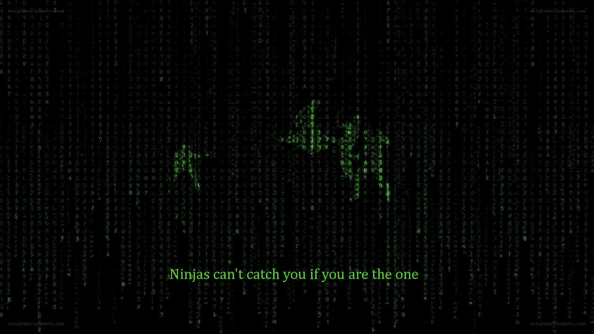 Matrix-style code with quote