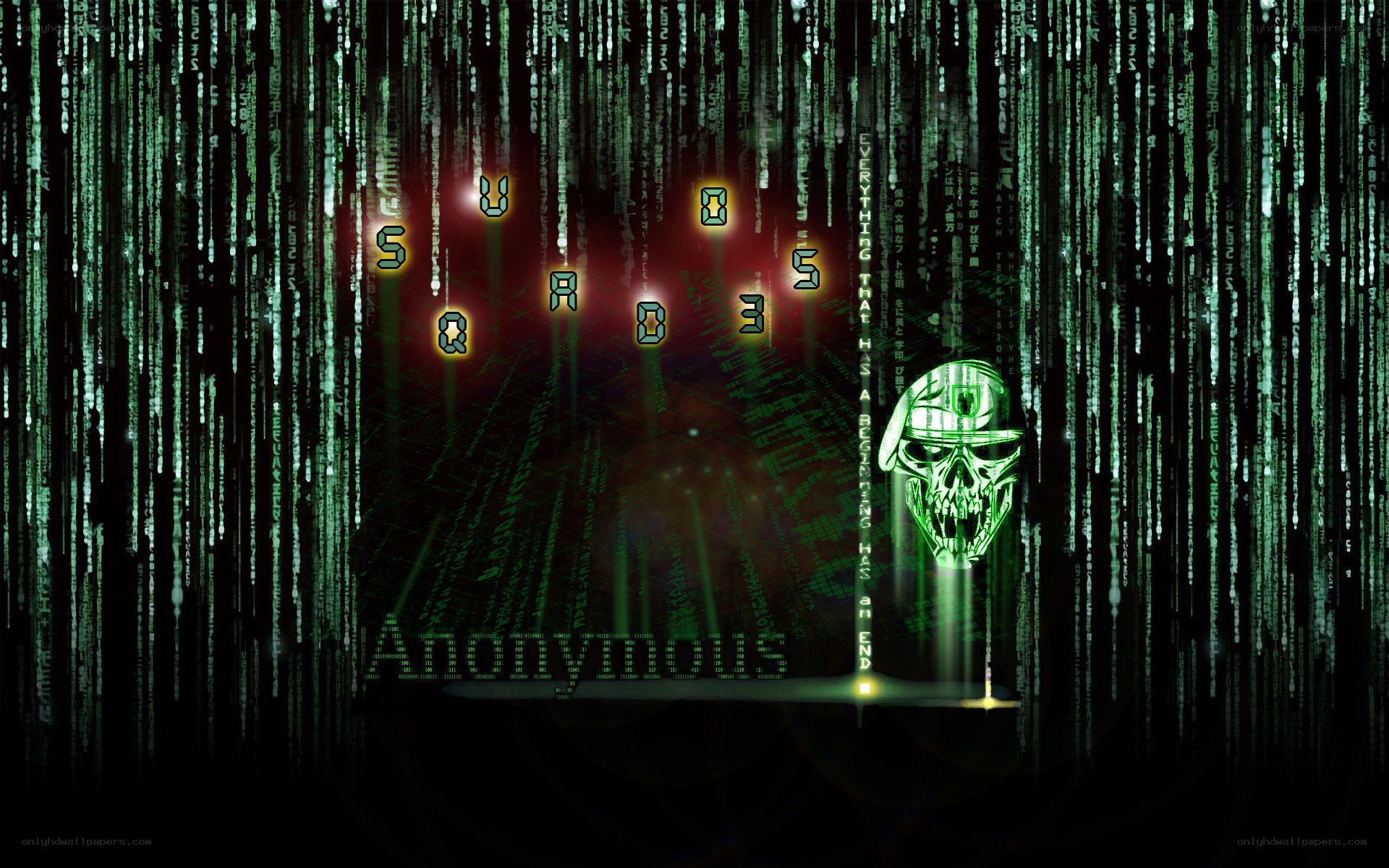 Matrix-style digital art with skull
