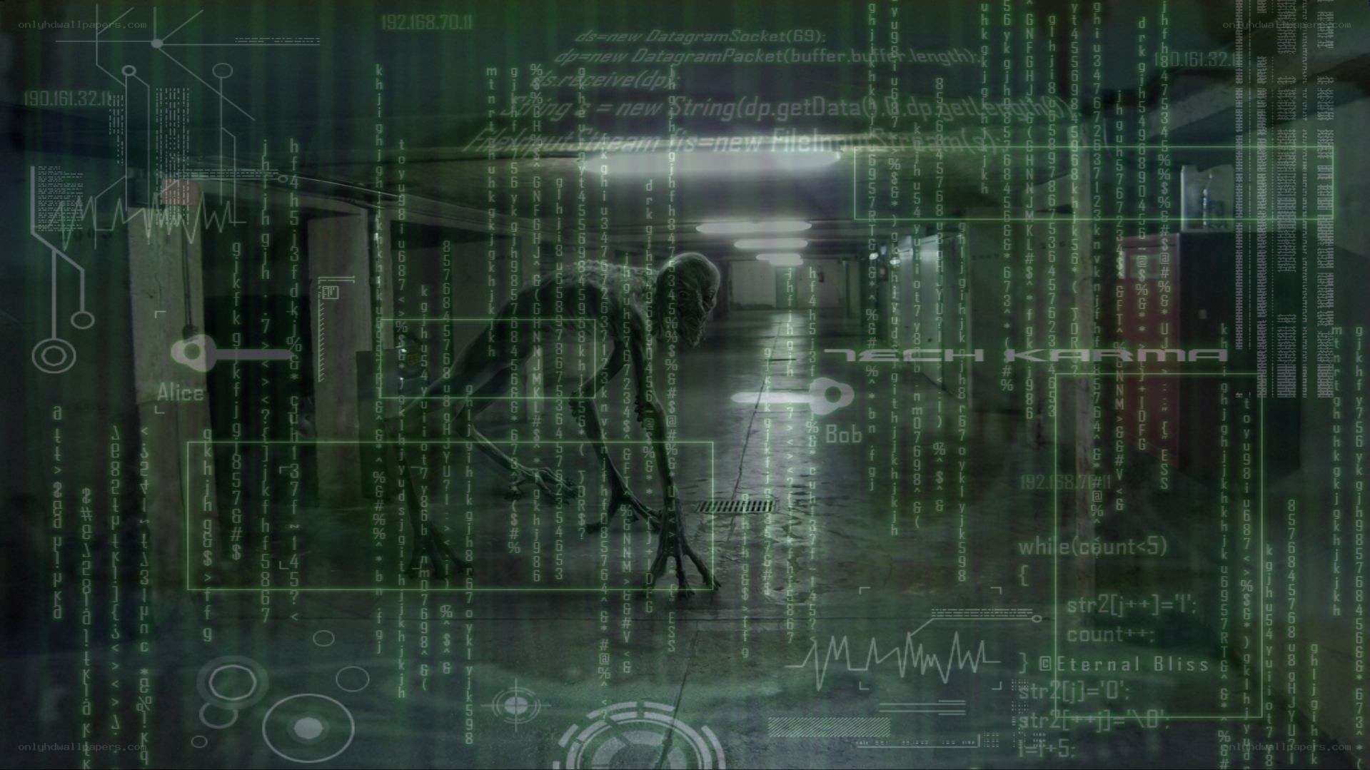Matrix-style digital overlay