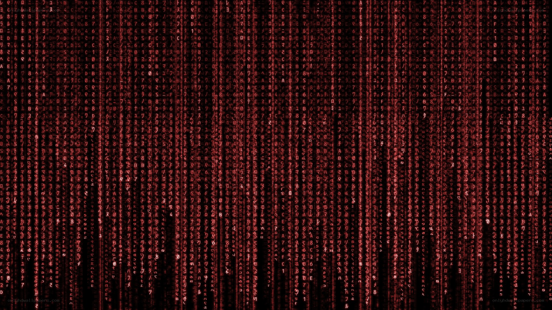 Matrix-style digital rain