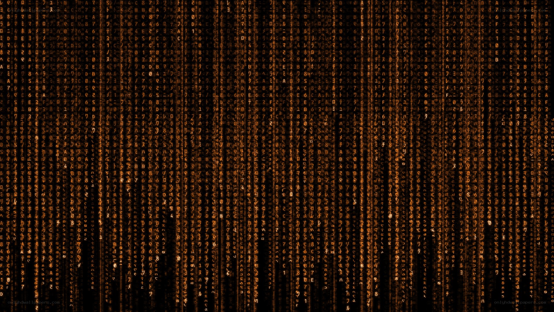 Matrix-style digital rain