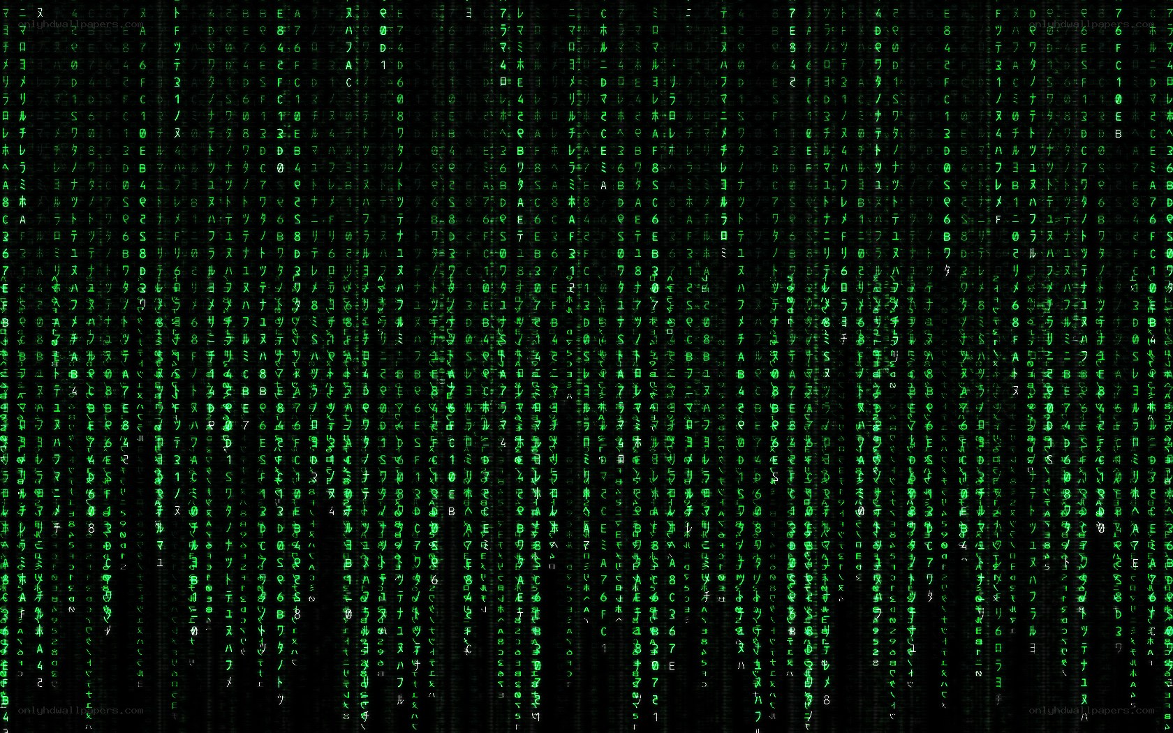 Matrix-style digital rain
