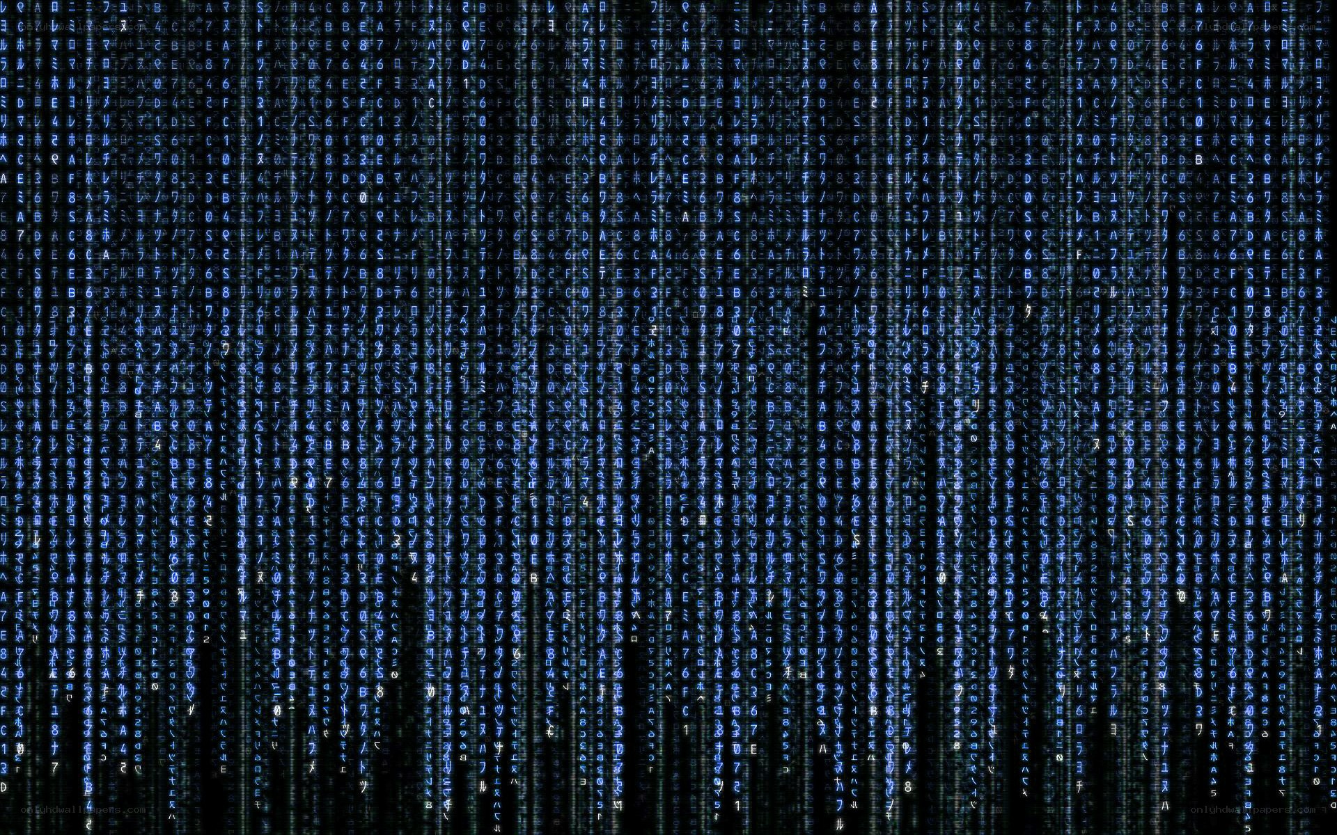 Matrix-style digital rain
