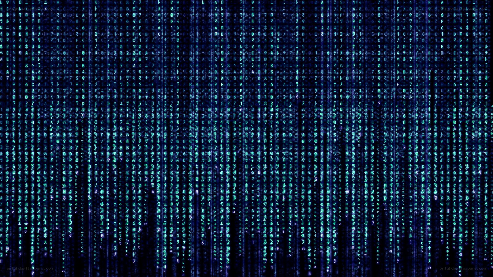 Matrix-style digital rain