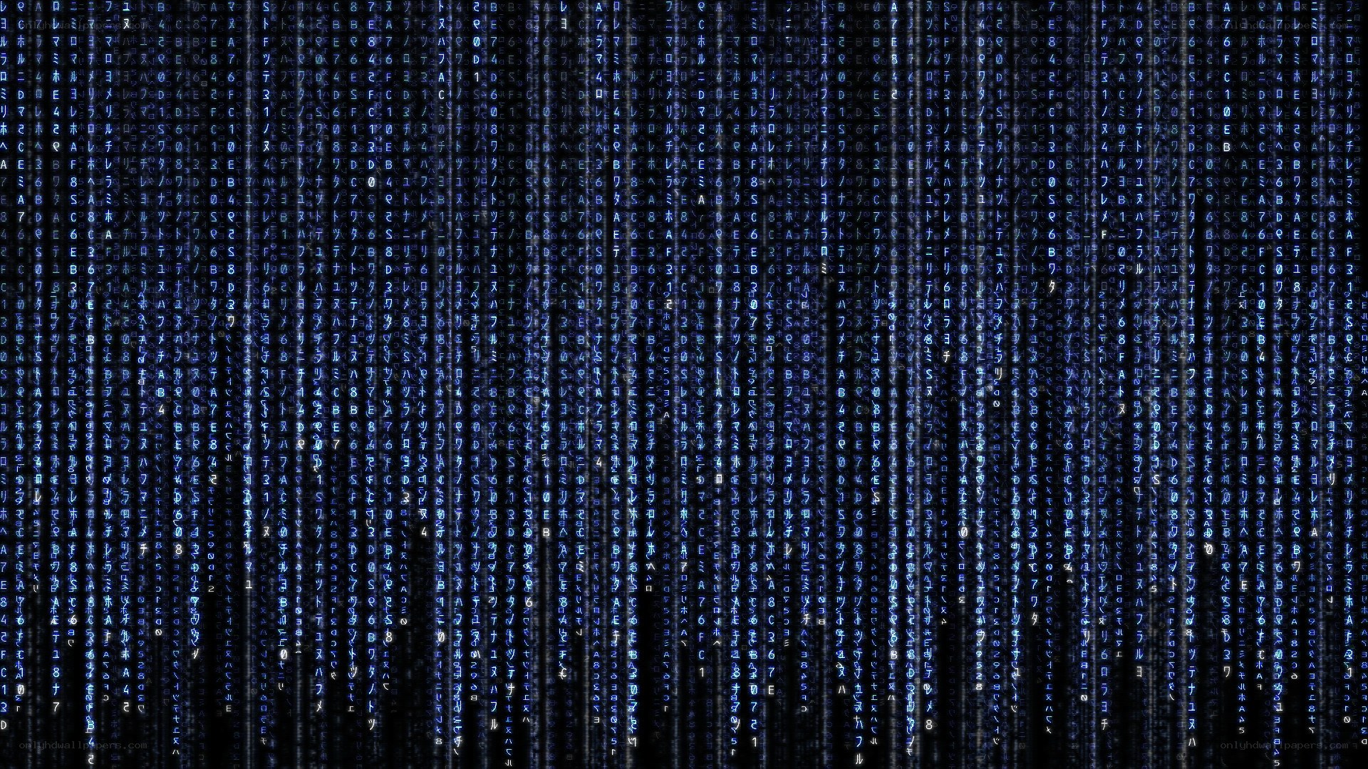Matrix-style digital rain