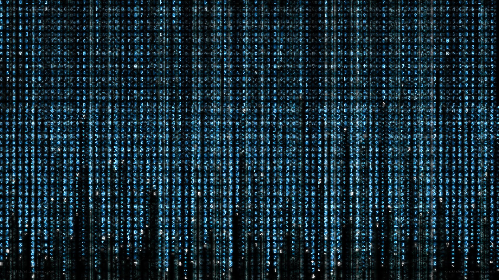 Matrix-style digital rain