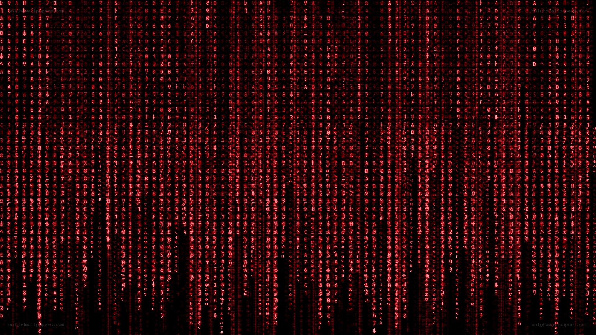 Matrix-style digital rain