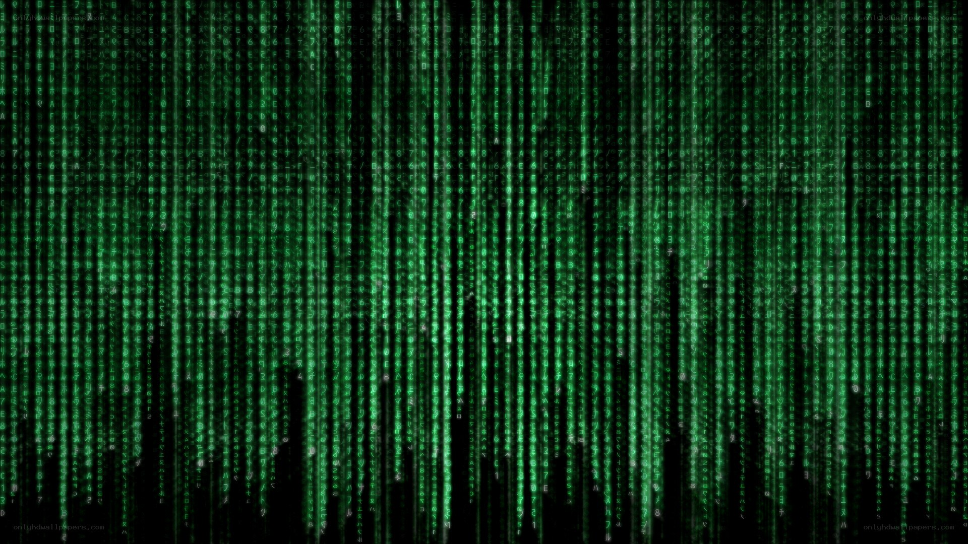 Matrix-style digital rain