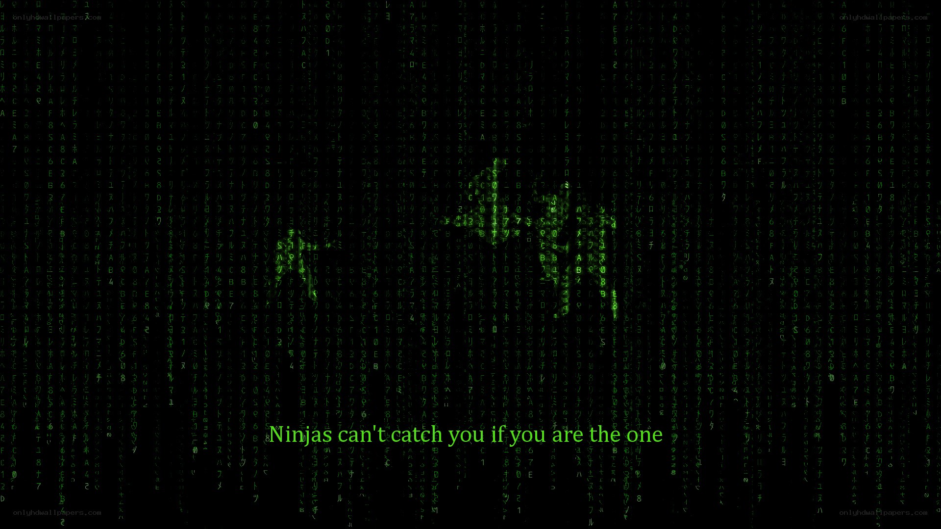Matrix-style digital rain