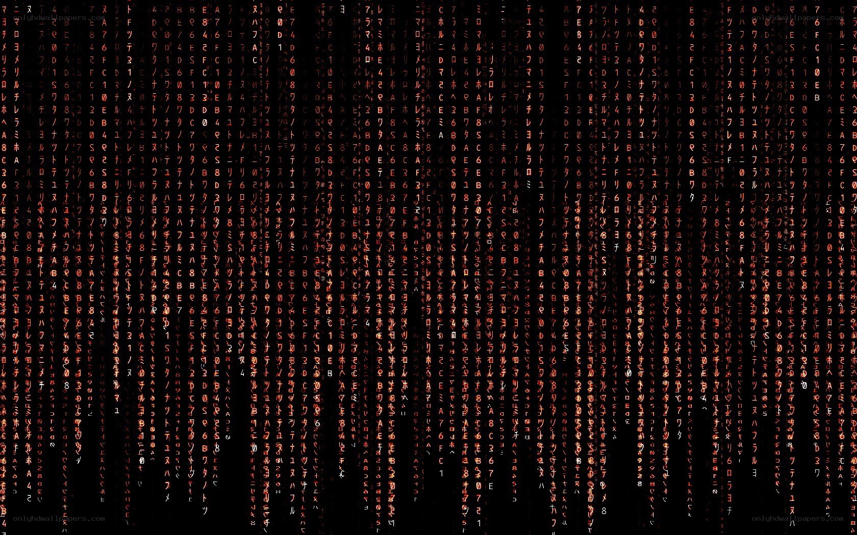 Matrix-style digital rain