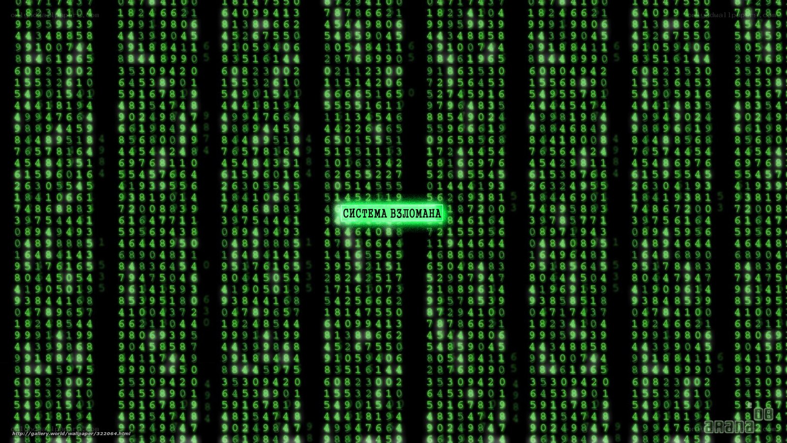 Matrix-style digital rain