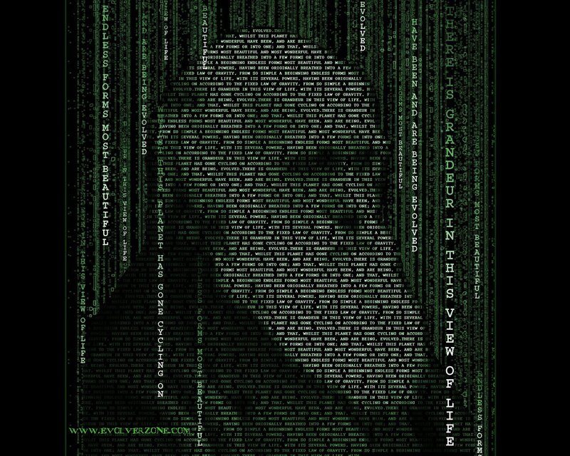 Matrix-style digital text