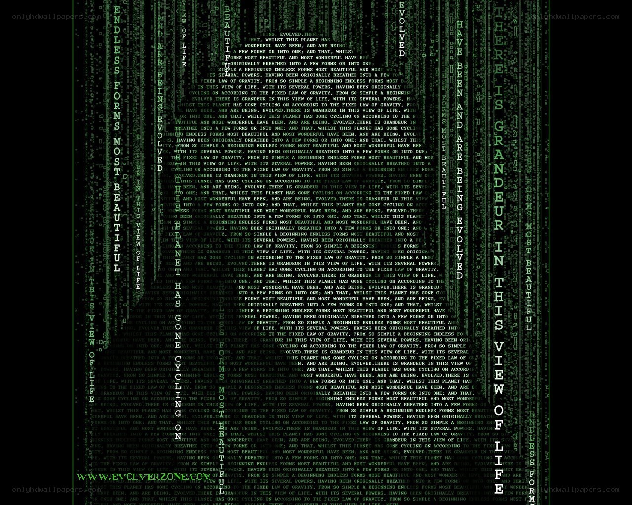 Matrix-style digital text