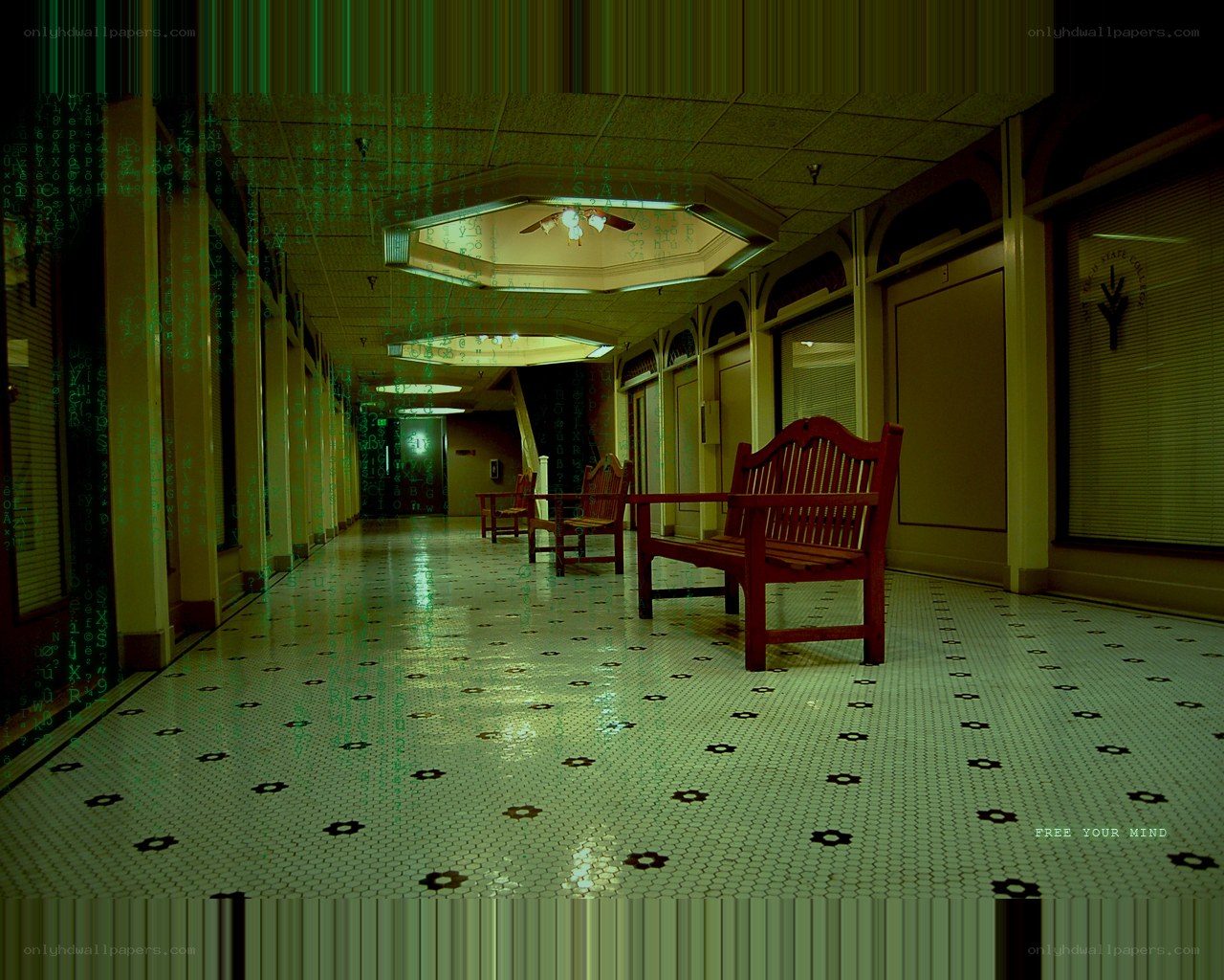 Matrix-style hallway with digital rain