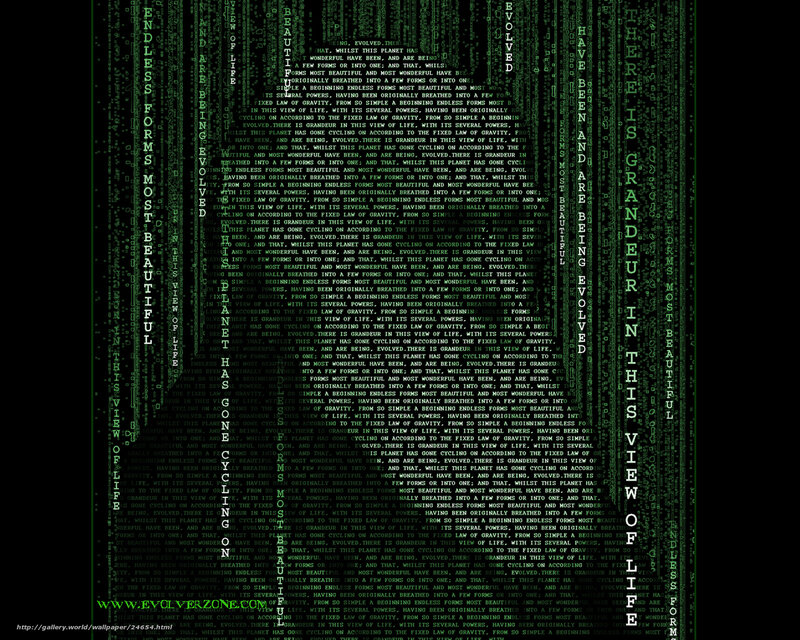 Matrix-style text rain