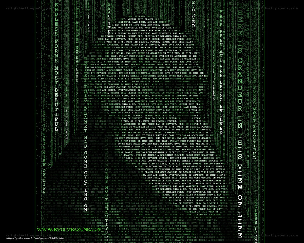 Matrix-style text rain