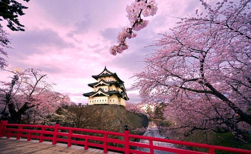 Matsumoto Castle — Pink