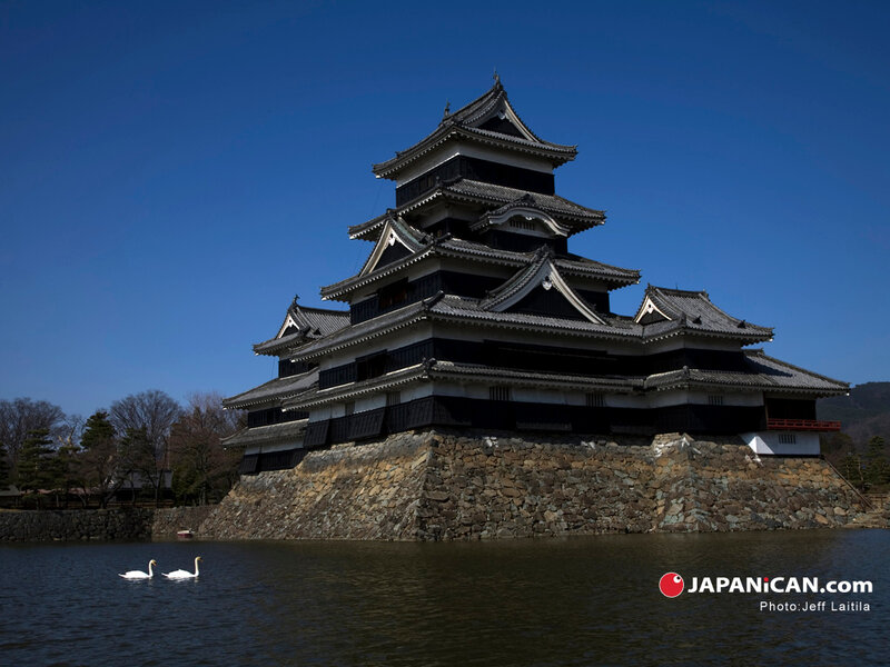 Matsumoto Castle with swans
