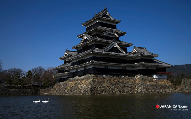 Matsumoto Castle with swans