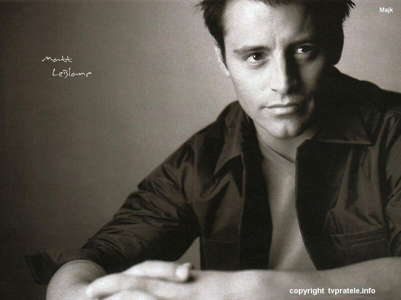 Matt LeBlanc portrait