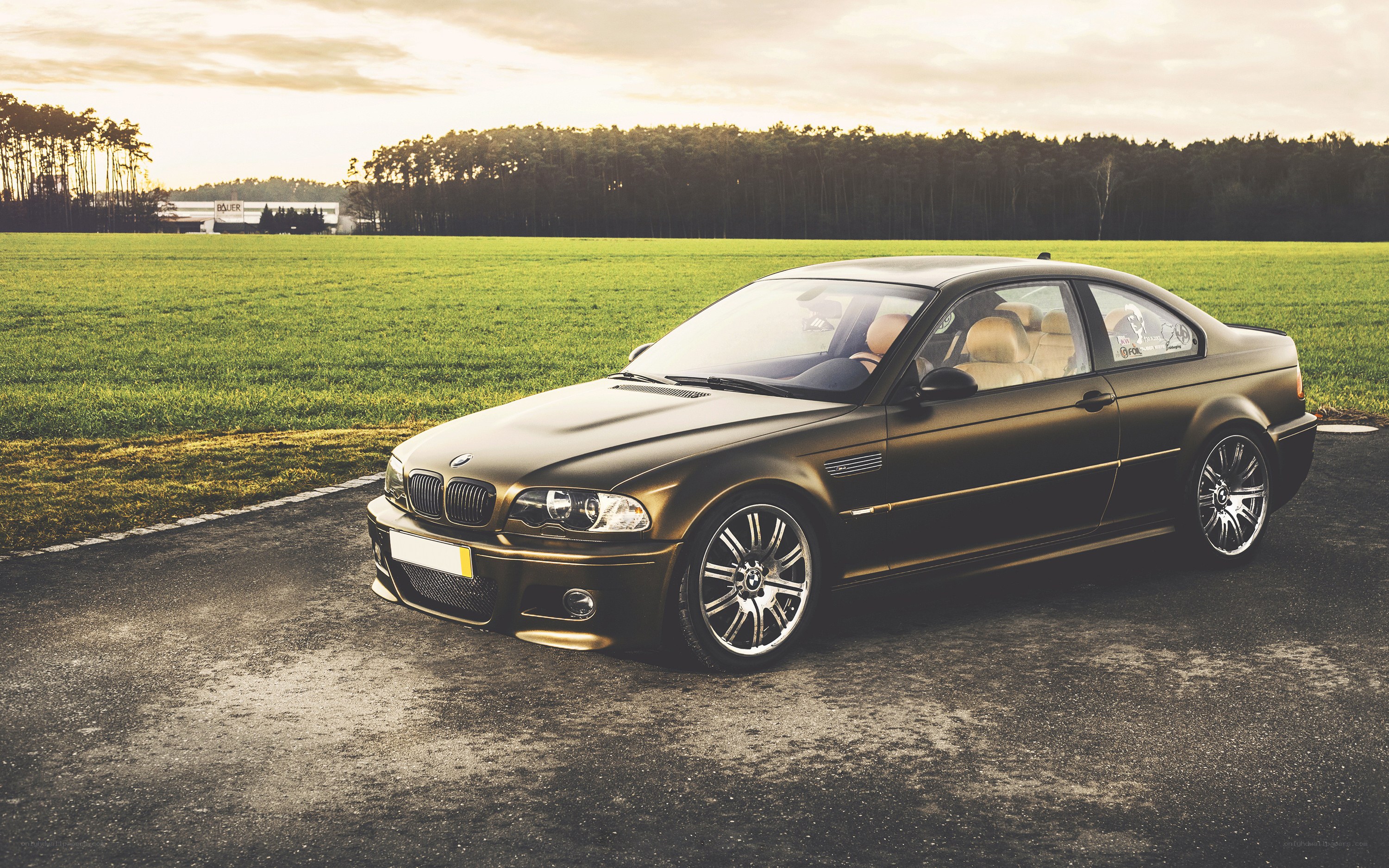 Matte black BMW on a field