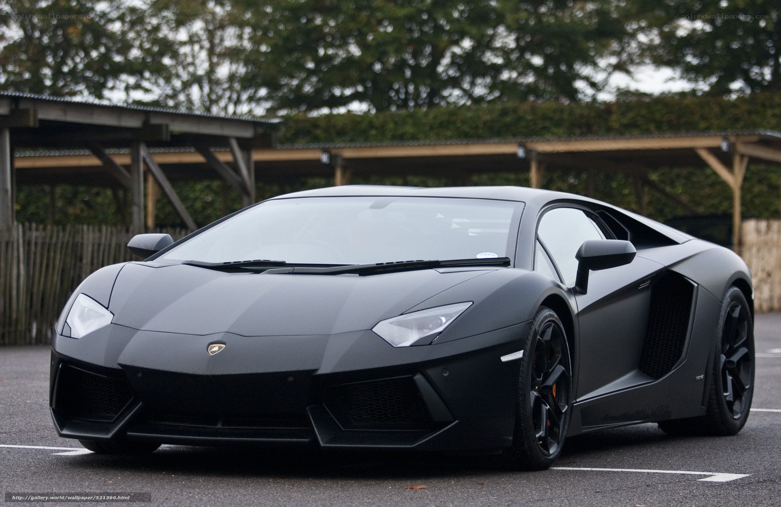 Matte black Lamborghini Aventador