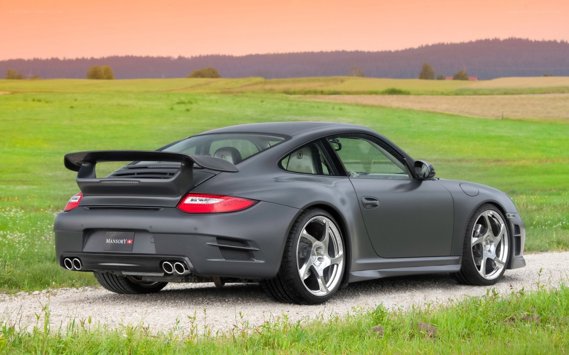 Matte gray Porsche in a field