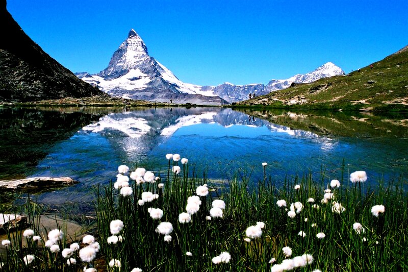 Matterhorn Mountain — Blue, Serene, Summer, Photograph, Lake, Flowers