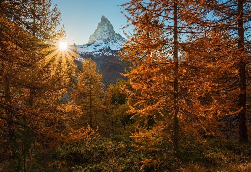 Matterhorn Mountain — Gold, Serene