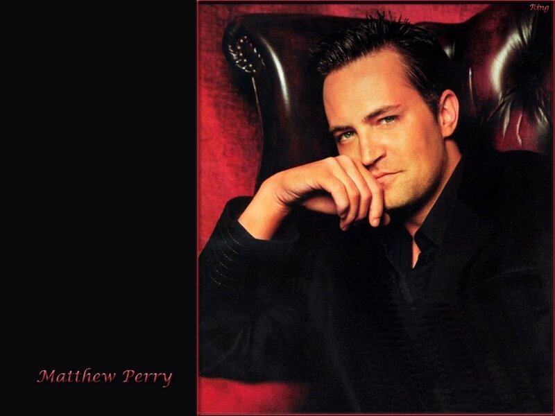 Matthew Perry portrait