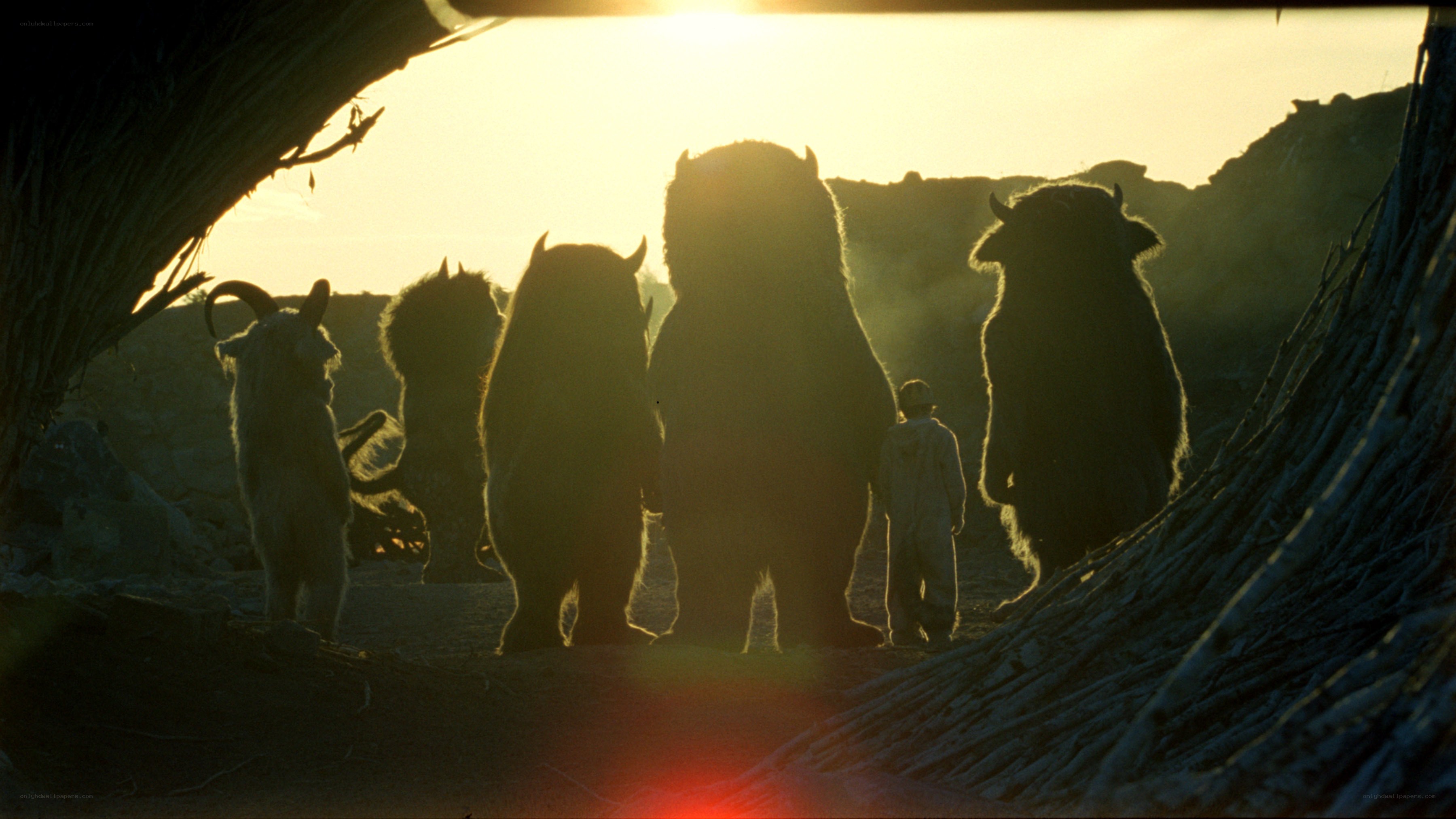Max and the monsters at sunset