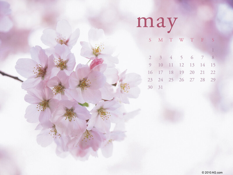 May calendar with cherry blossoms
