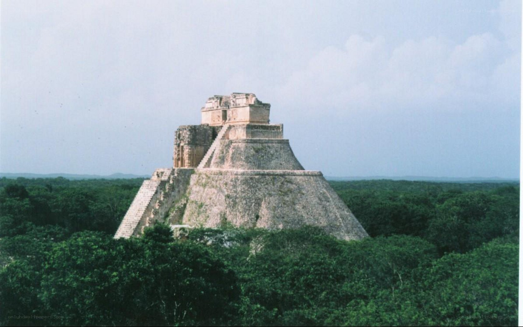 Mayan pyramid in jungle