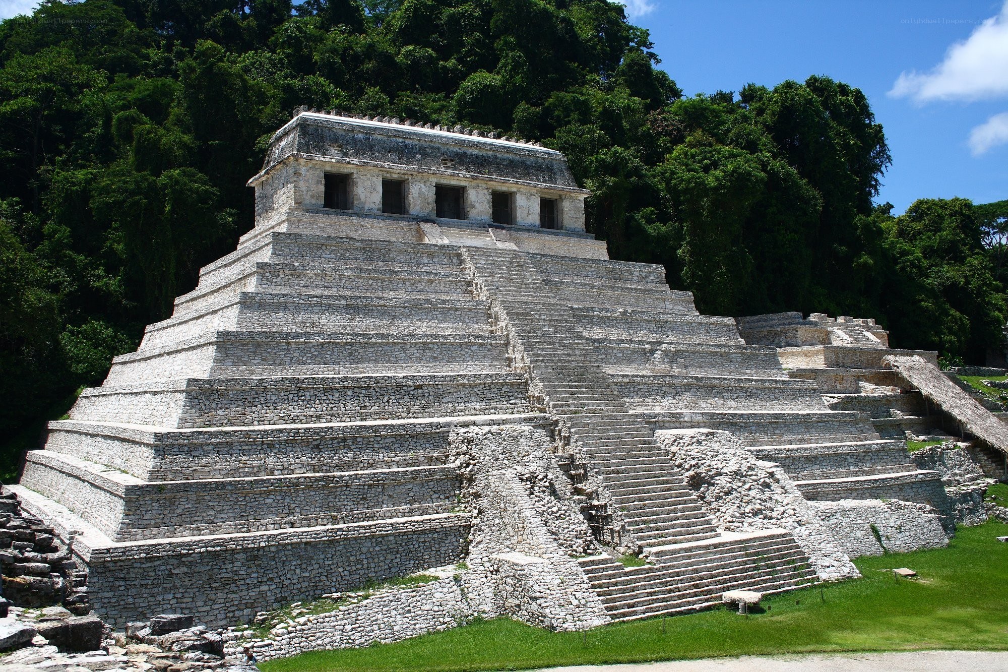 Mayan pyramid in jungle