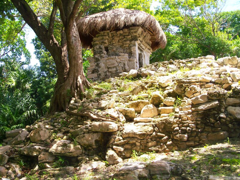 Mayan ruin with thatched roof