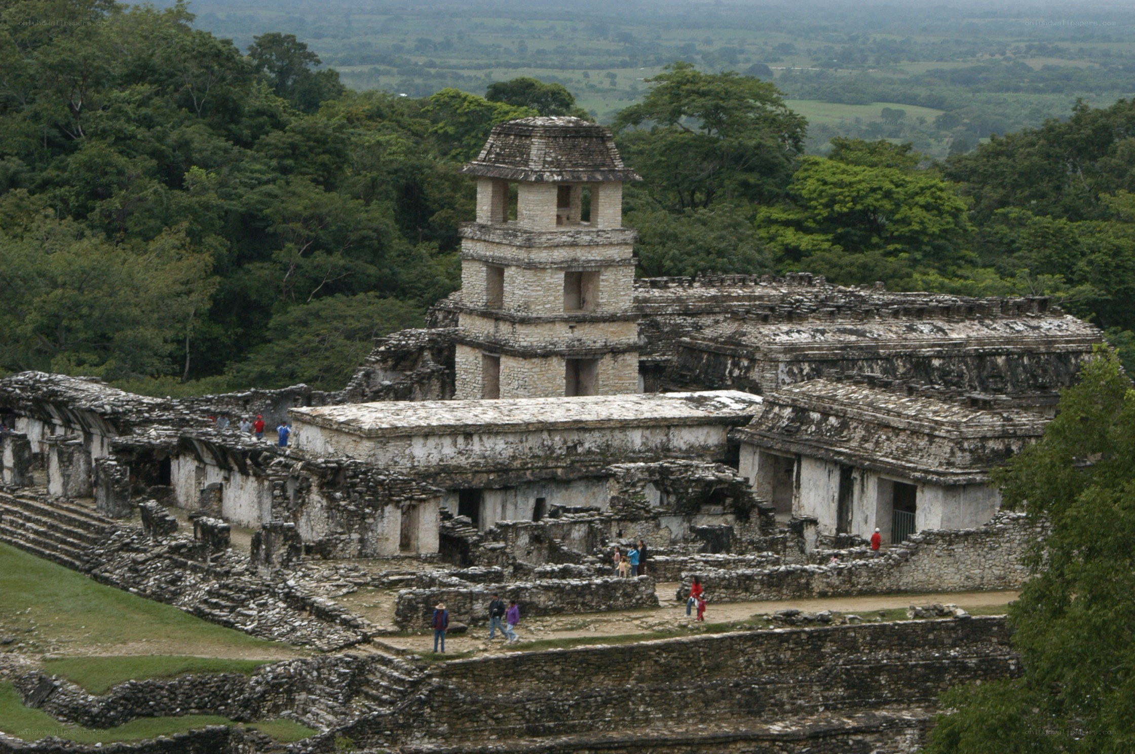 Mayan ruins in jungle