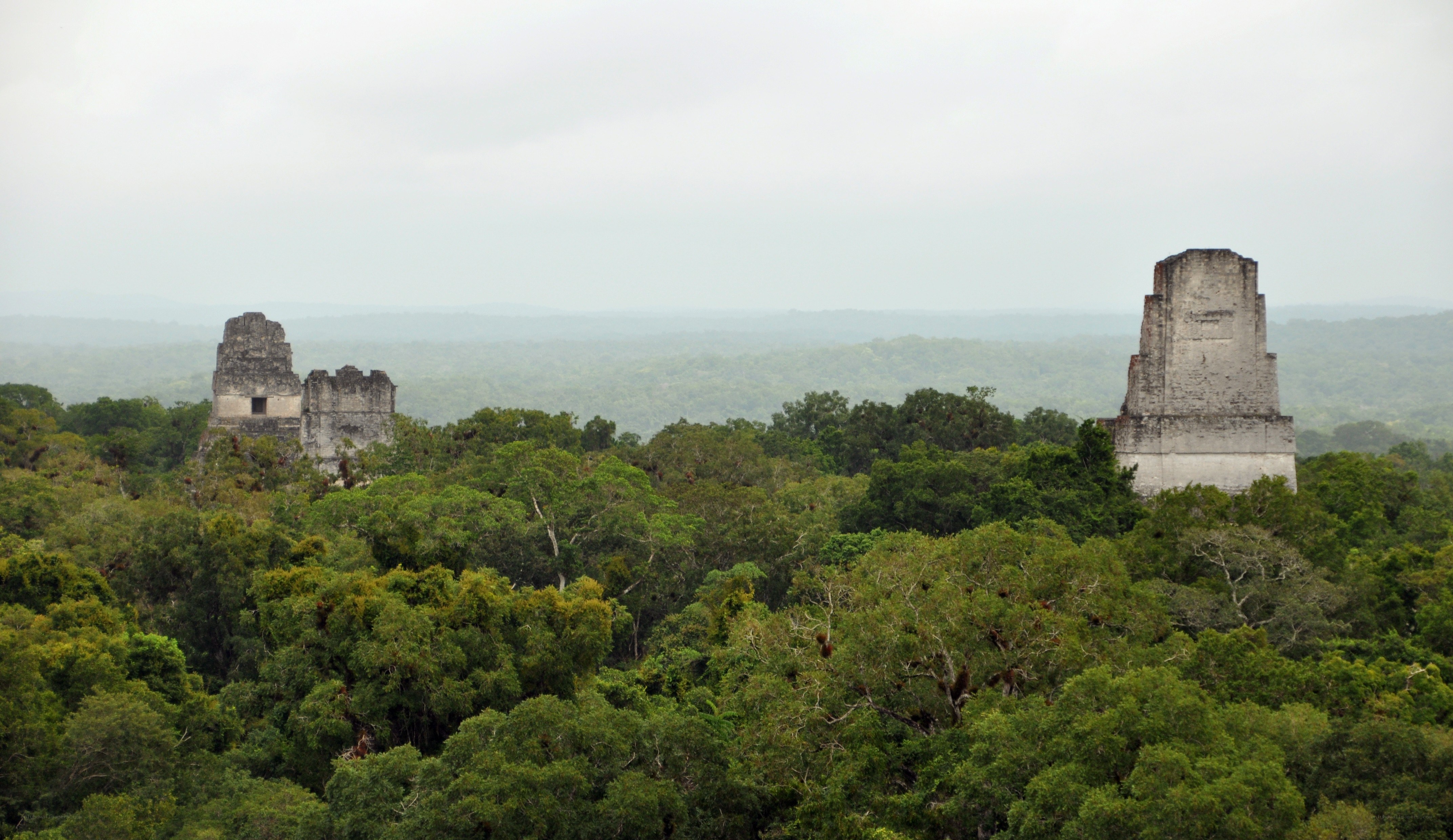 Mayan ruins in jungle