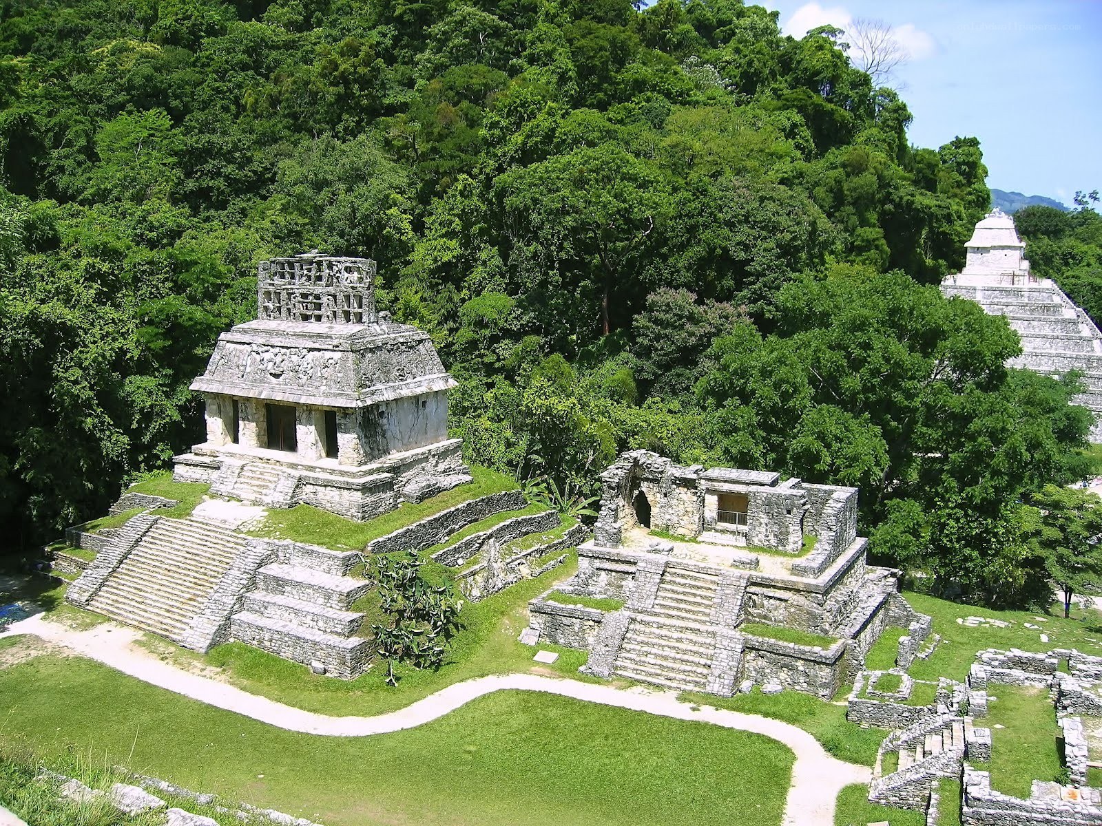 Mayan ruins in jungle