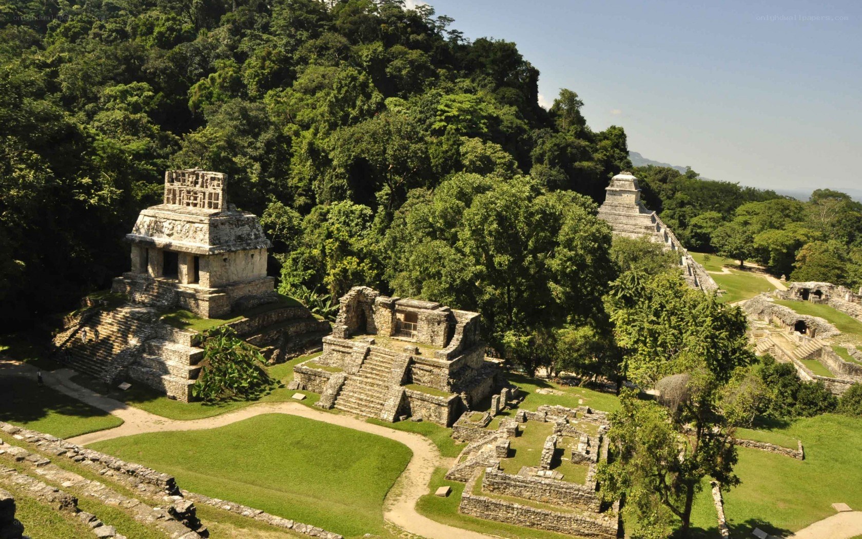 Mayan ruins in jungle
