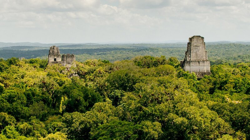 Mayan Ruins in Jungle — Green, Serene, Afternoon, Photograph, Forest