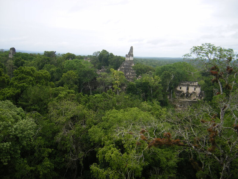 Mayan Ruins in Jungle — Green, Serene, Afternoon, Photograph, Trees