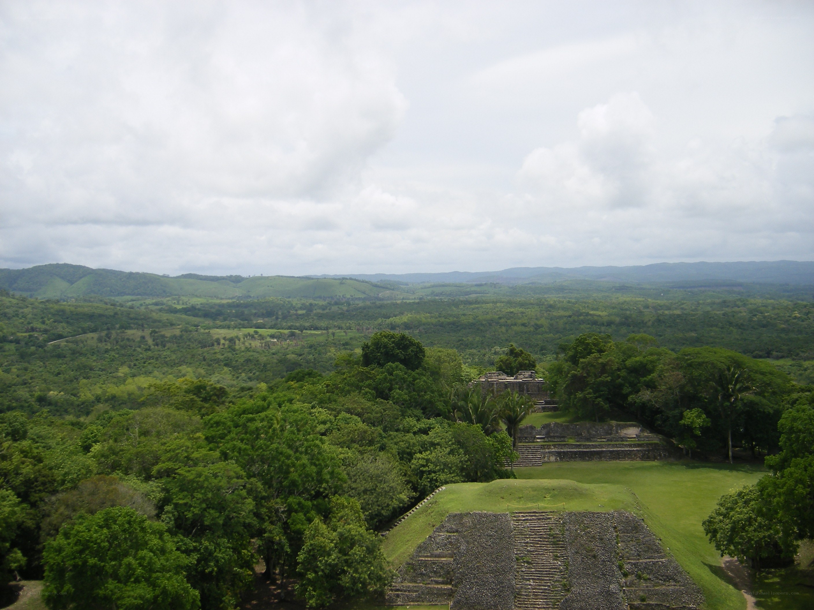 Mayan ruins in jungle landscape