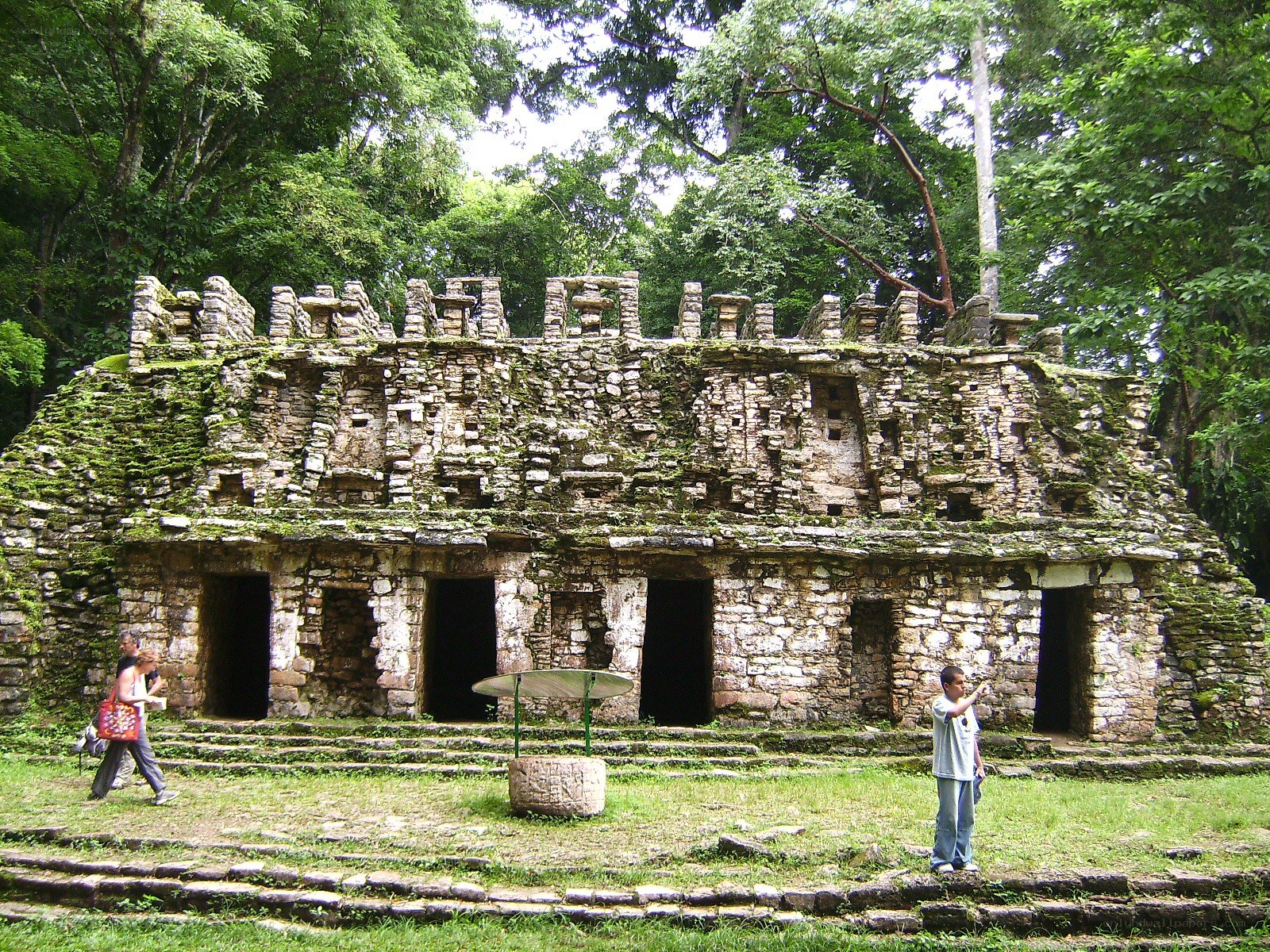 Mayan temple ruins in jungle
