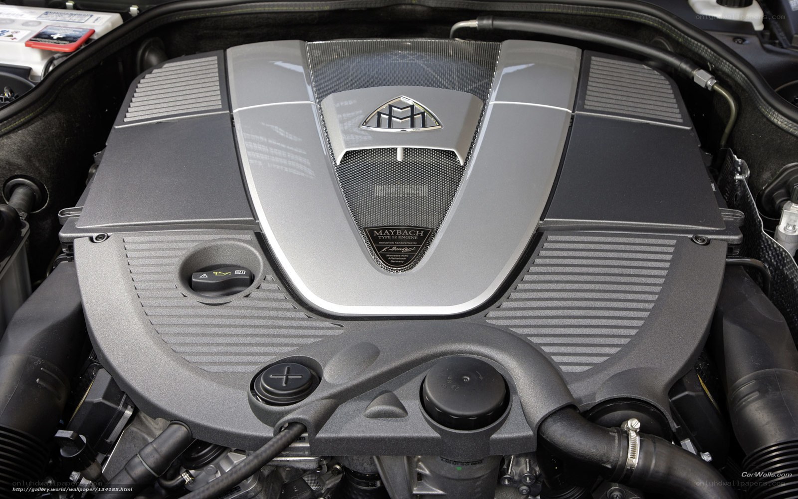Maybach engine cover